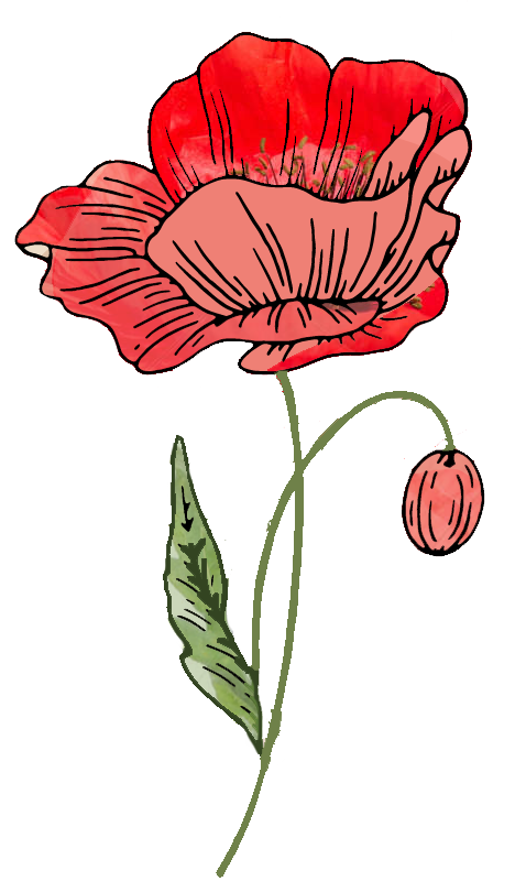 Poppy Drawing Honoring 'J'
